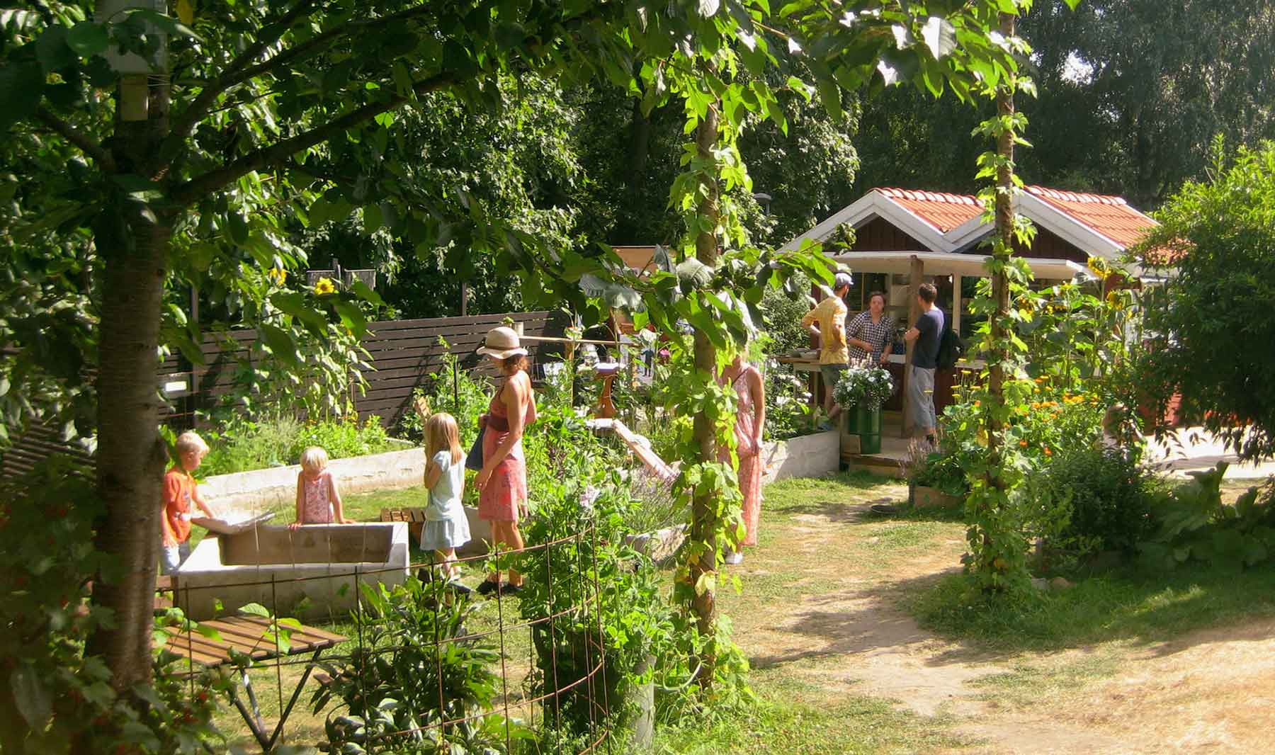 Fafangan i Nykoping - Kultur- & trädgårdscafé